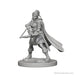 WizKids WZK72636 Accessories