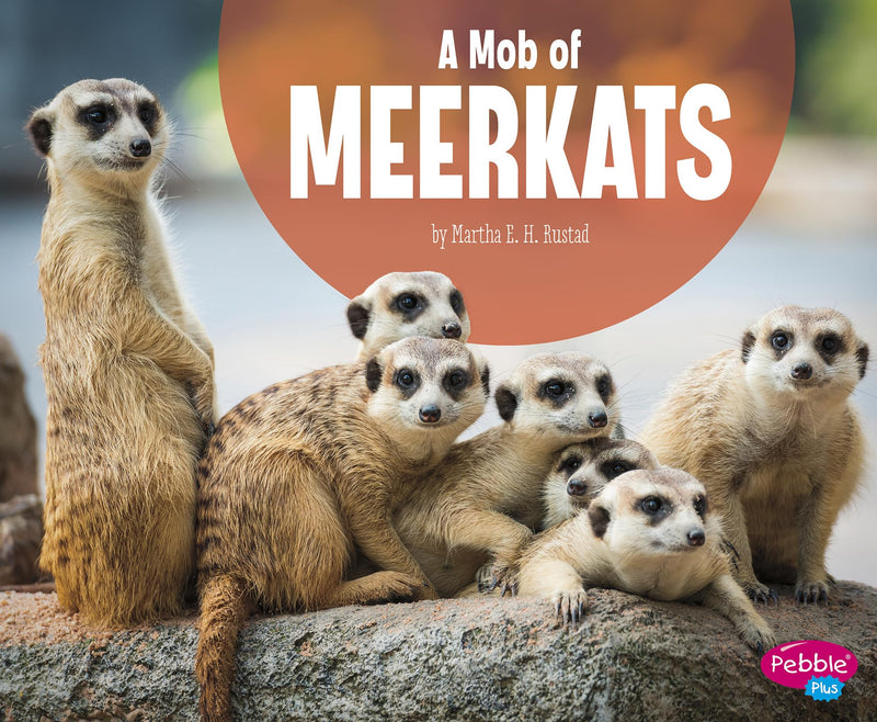 A Mob of Meerkats (Animal Groups)