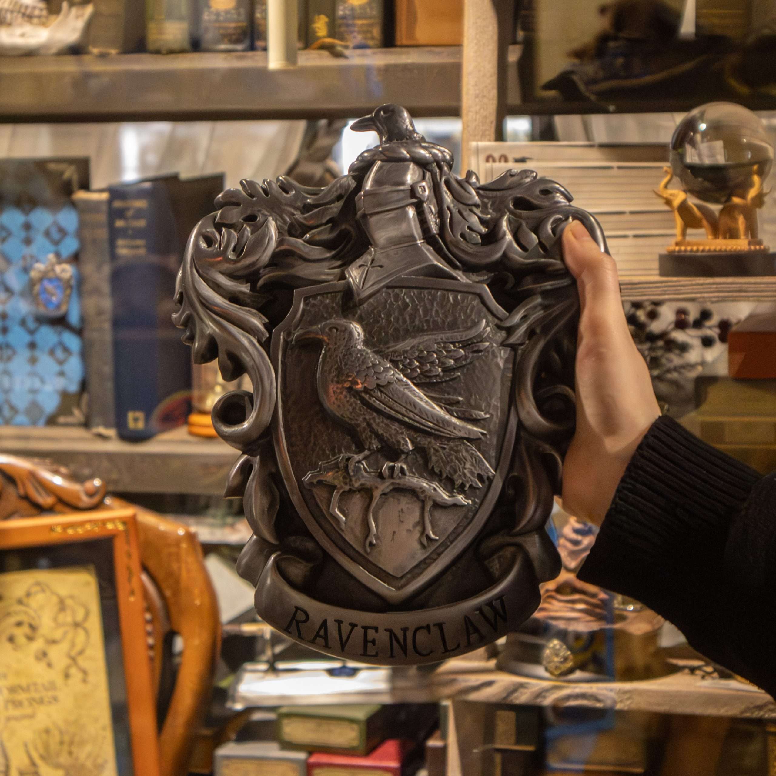 The Noble Collection Harry Potter Ravenclaw Crest Wall Art - 11in (28cm) Elegant Silver Resin Wall Plaque - Officially Licensed Film Set Movie Props Gifts