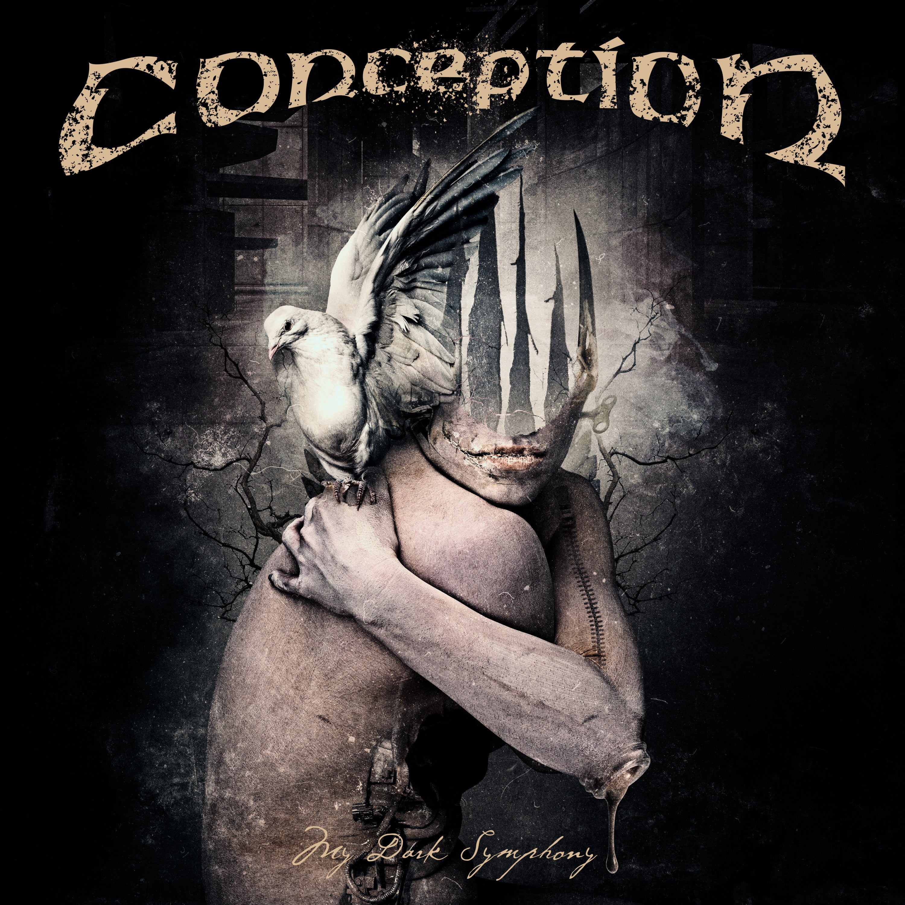 My Dark Symphony