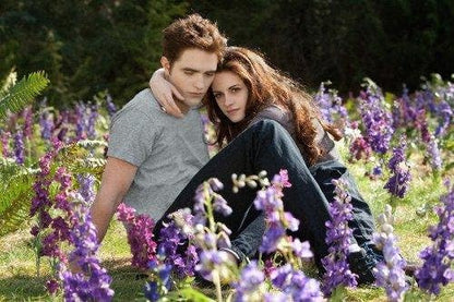 TWILIGHT SAGA: BREAKING DAWN - PART 2 - TWILIGHT SAGA: BREAKING DAWN - PART 2 (2 DVD