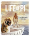 Life of Pi (Blu-ray + DVD + Digital Copy)