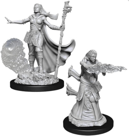 D&D Nolzur's Marvelous Unpainted Miniatures (W9) Female Human Druid