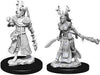 D&D Nolzur's Marvelous Unpainted Miniatures (W9) Female Human Druid