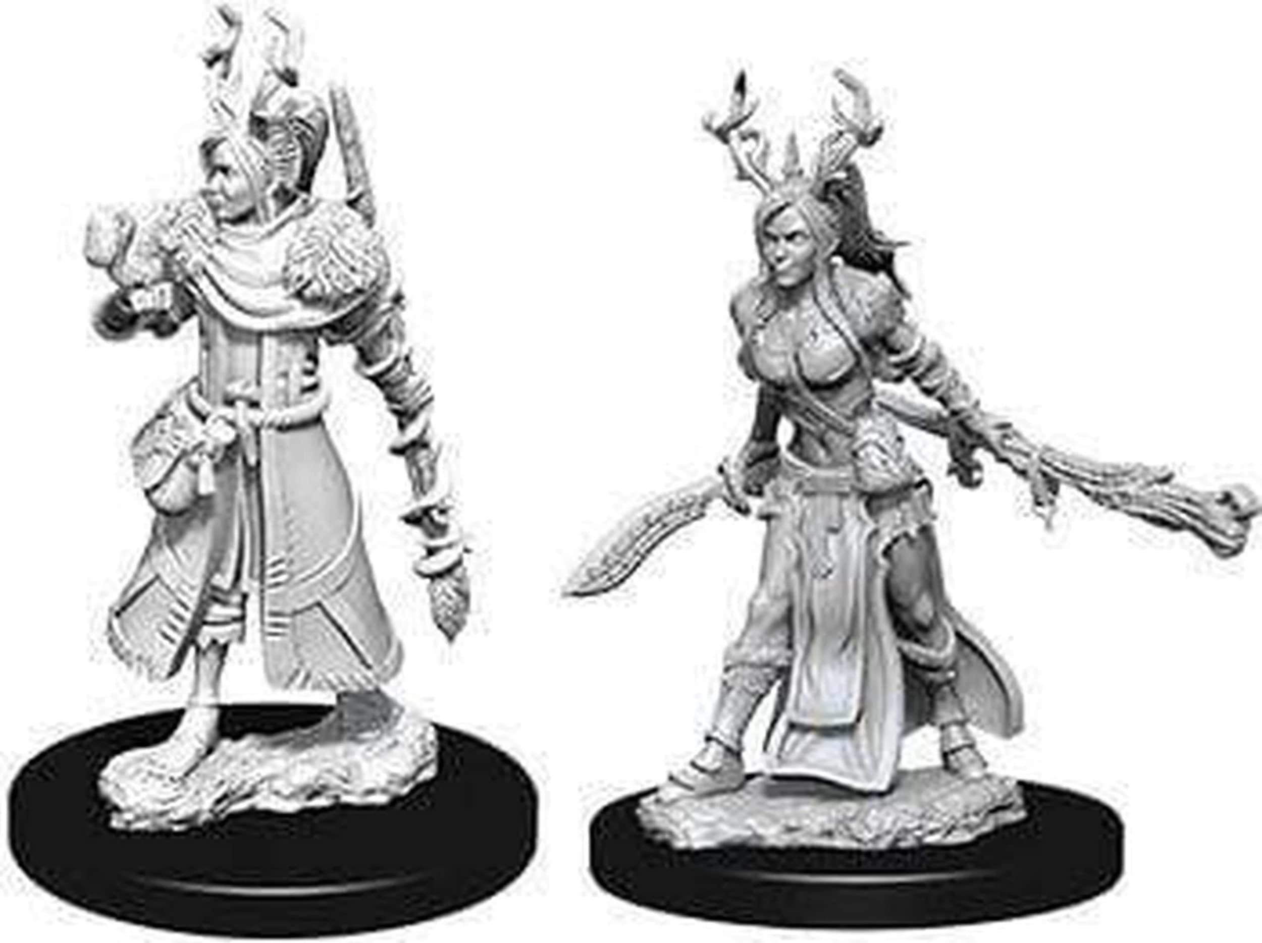 D&D Nolzur's Marvelous Unpainted Miniatures (W9) Female Human Druid