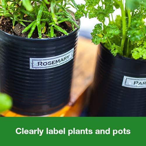 Brother GL-H105 stampante per etichette (CD