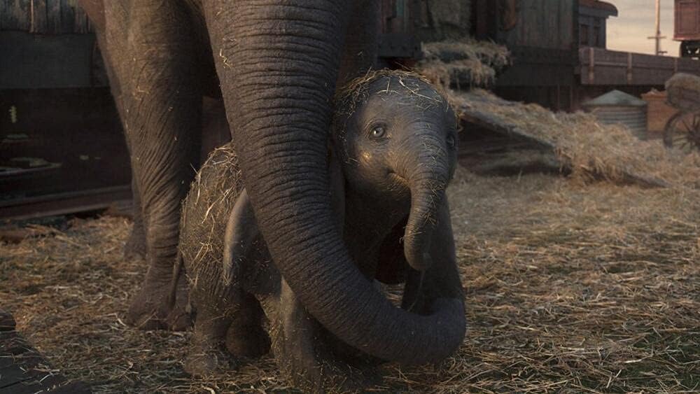 Dumbo (2019