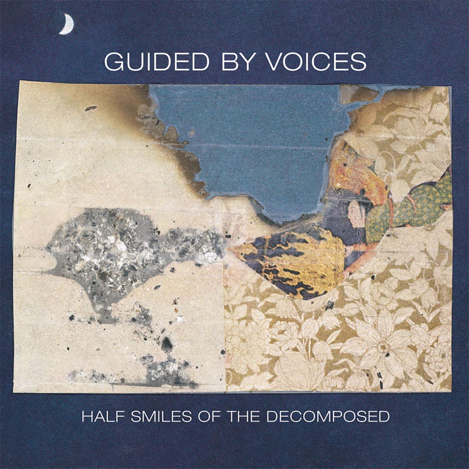 Half Smiles Of The Decomposed