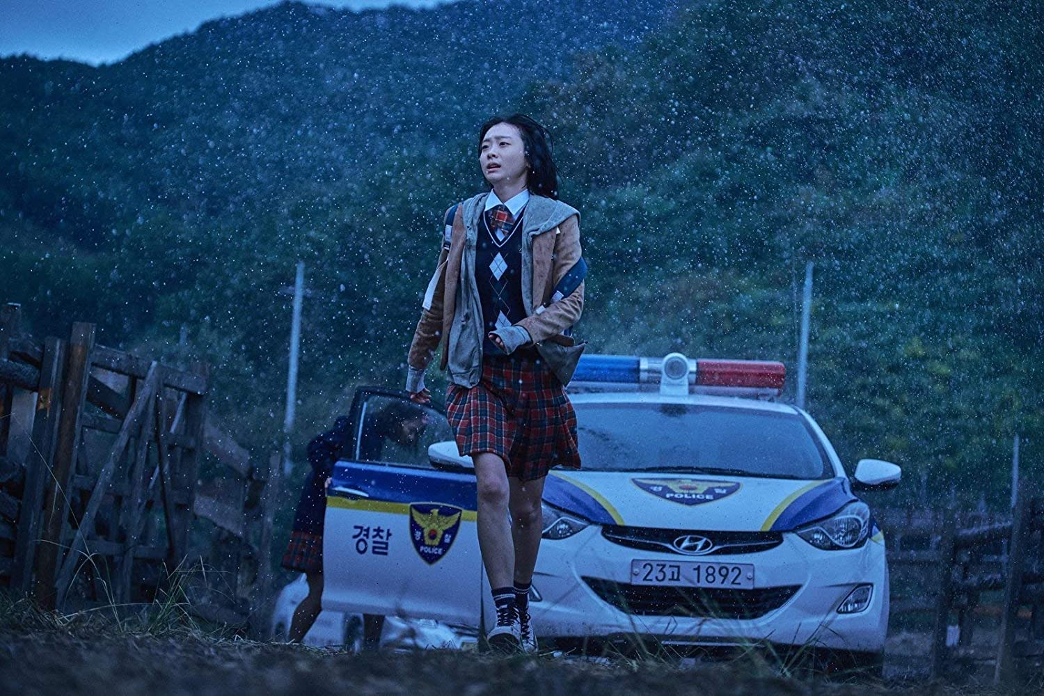 The Witch:Subversion