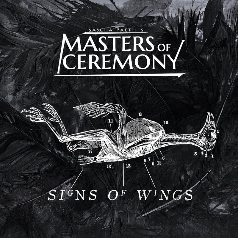 Signs of Wings