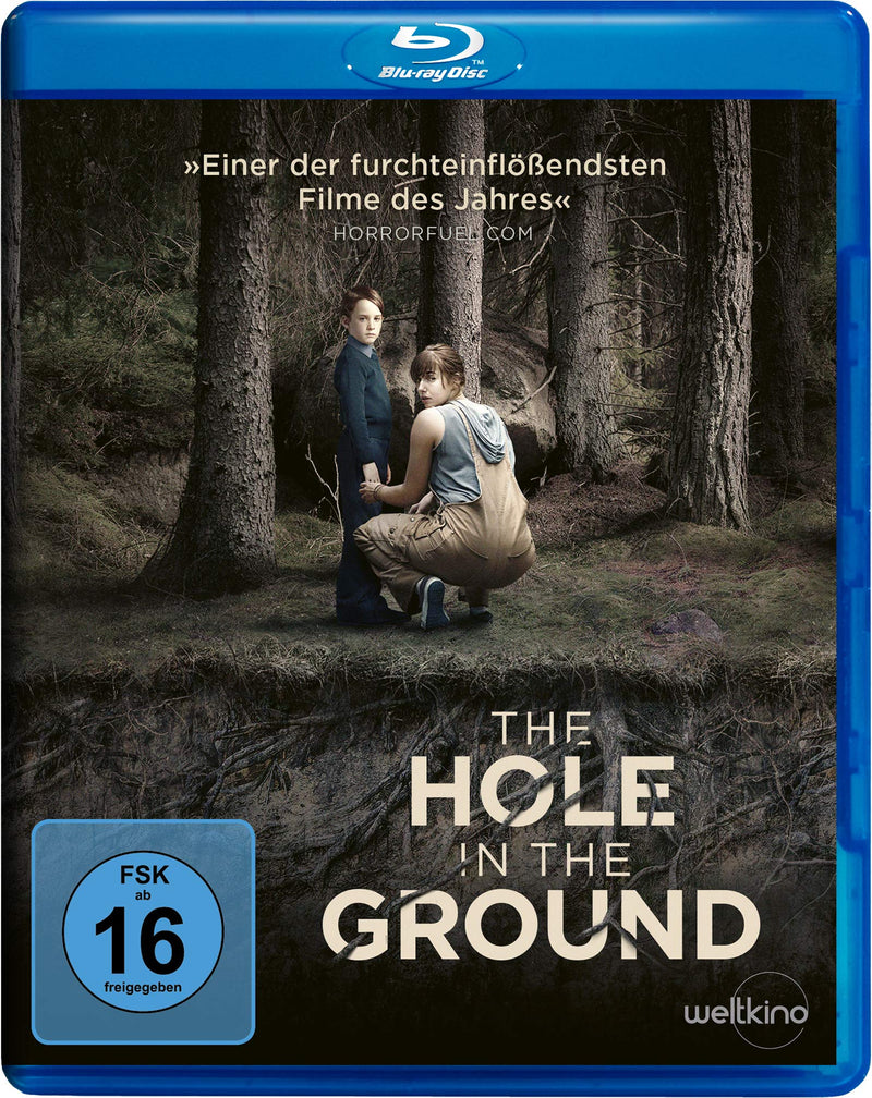 The Hole in the Ground