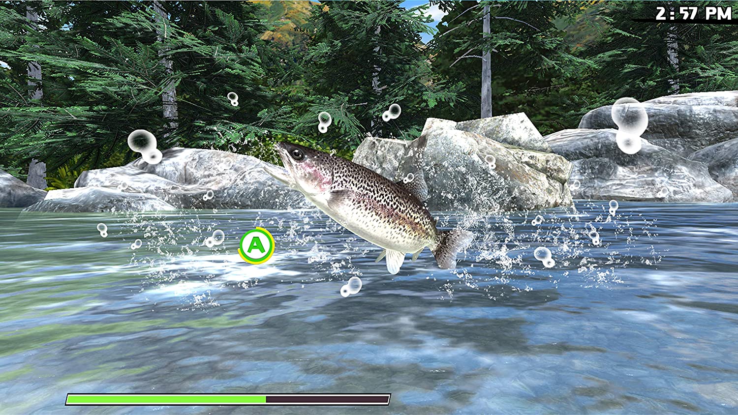 Reel Fishing: Road Trip Adventure