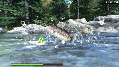 Reel Fishing: Road Trip Adventure