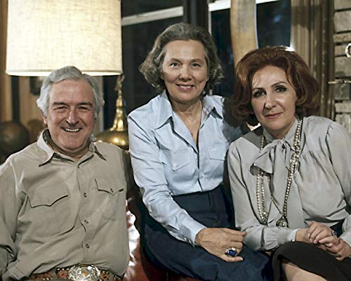 V.I.P.-Schaukel