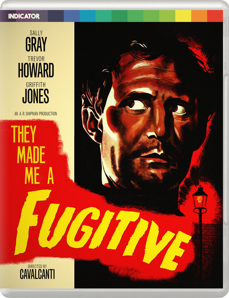 They Made Me a Fugitive