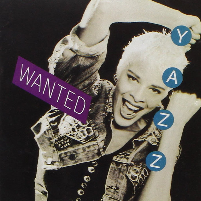 Wanted 1988, incl. two 12" mixes