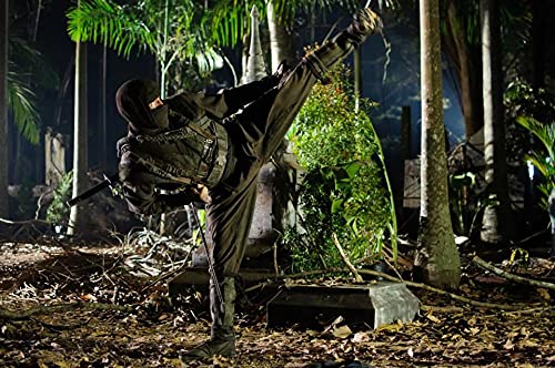 Coffret ninja : ninja ; ninja 2 : shadow of a tear