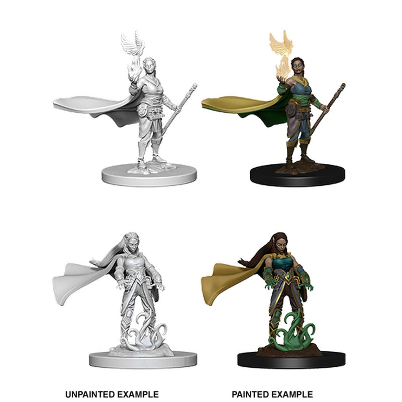 D&D Unpainted Miniatures: Elf Female Druid