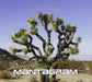 Joshua Tree