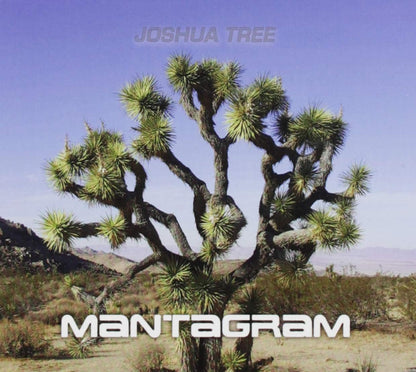 Joshua Tree