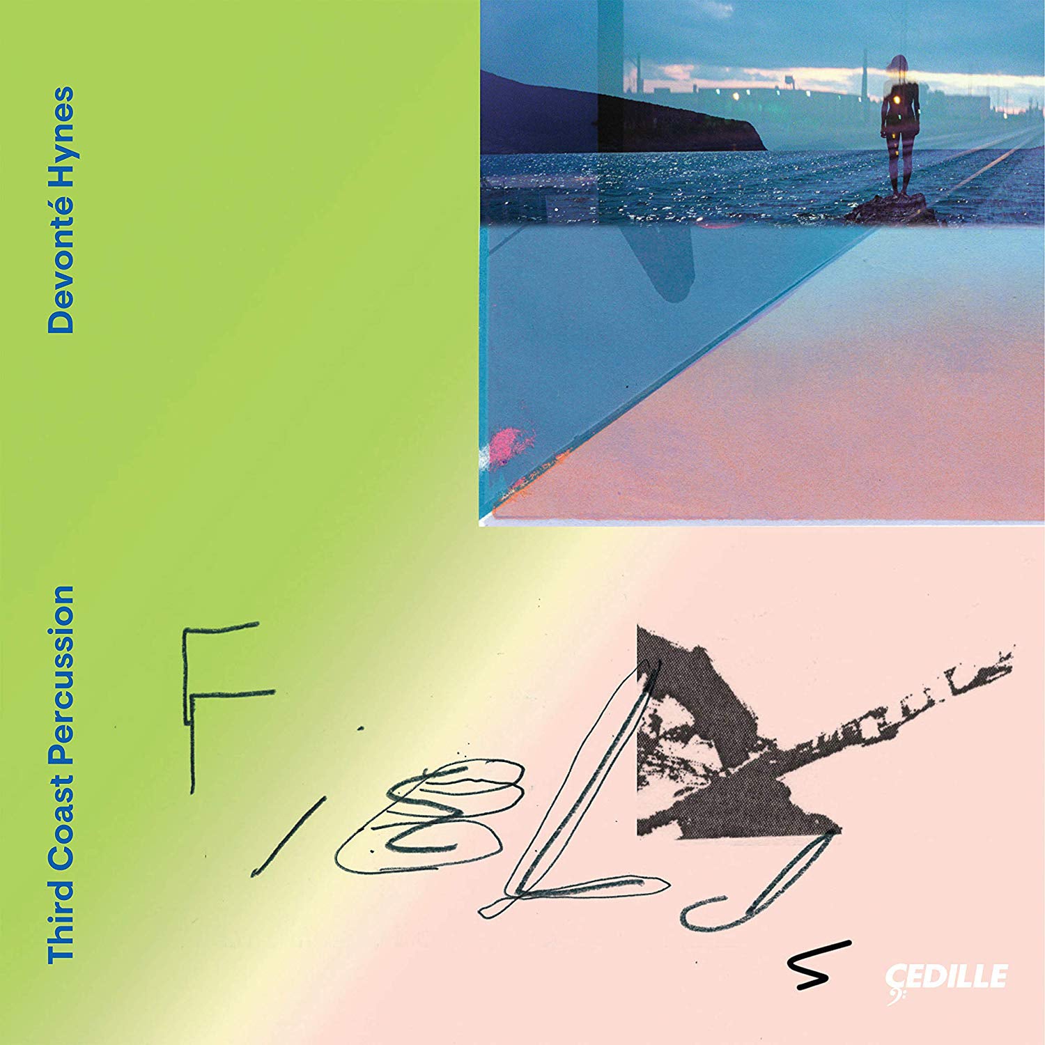Devonté Hynes/Third Coast Percussion: Fields