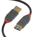 LINDY 36762 USB 3.2 Type A to A Extension Cable, Anthra Line - Black