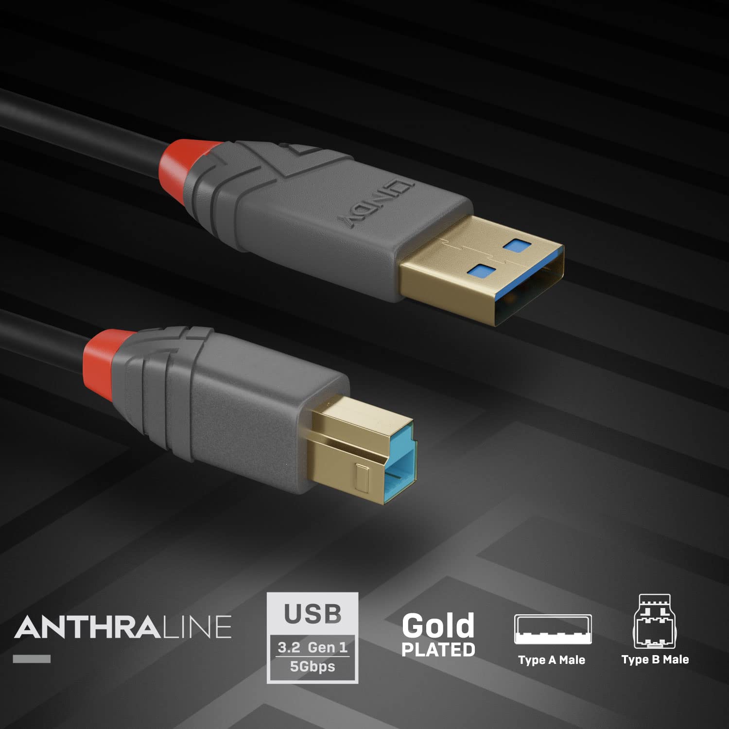 LINDY 36743 3m USB 3.2 Type A to B Cable, 5Gbps, Anthra Line,Black (Pack of 2