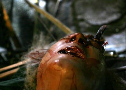 Chainsaw Slaughter