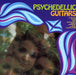 Psychedelic Guitars/The Mind Expanders: What's Happening?