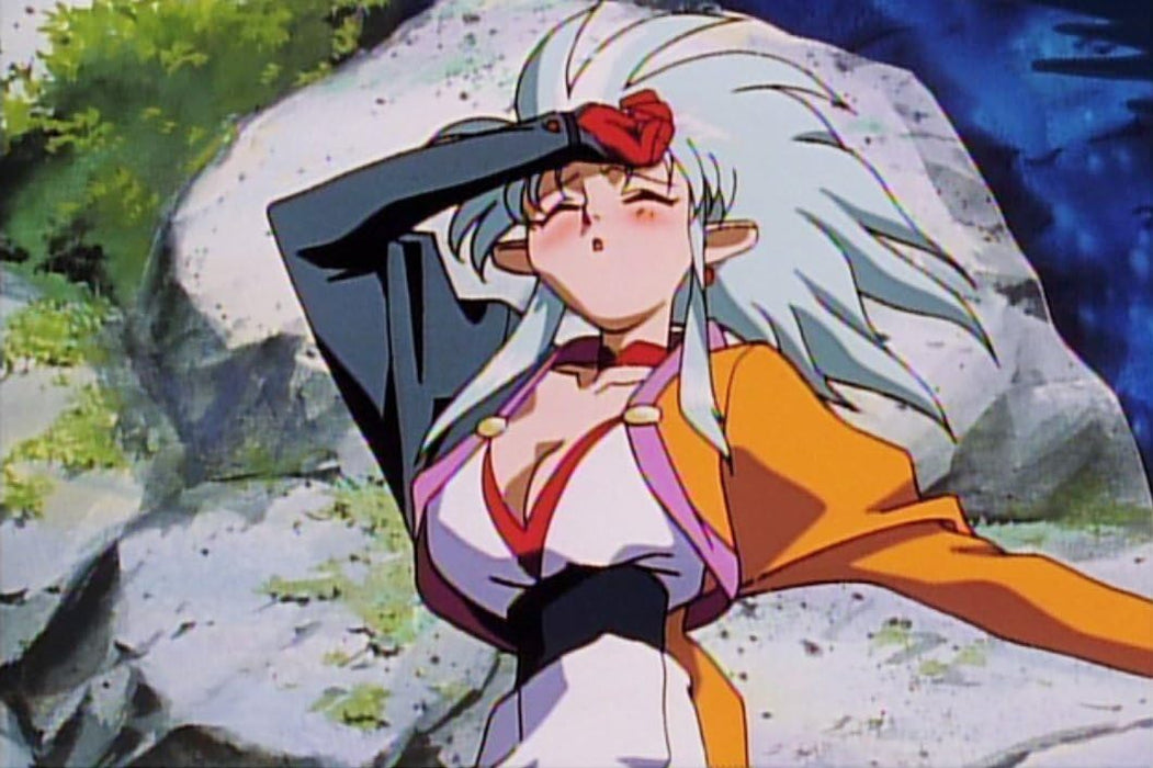 Tenchi Muyo Universe: Collection