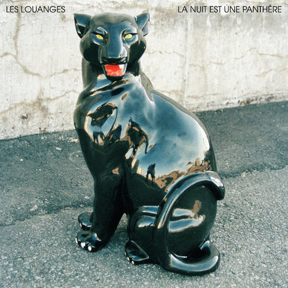 La Nuit Est une Panthere