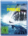 Meg, The