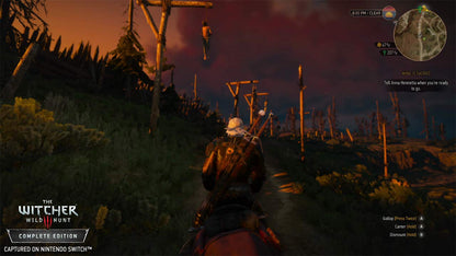 Witcher 3: Wild Hunt - Nintendo Switch Nintendo Switch Standard Physical