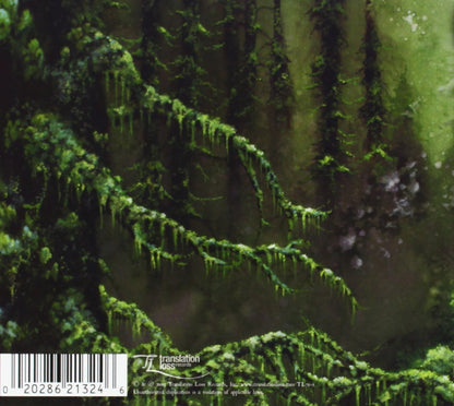 Forestelevision