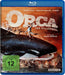 Orca, der Killerwal