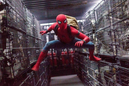 Spider-Man: Home - (Collect.) ( Box 2 Dv