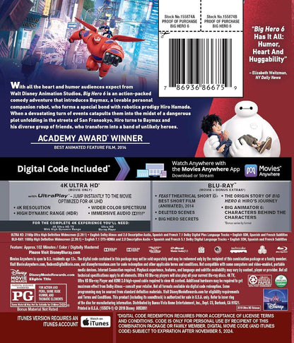 Big Hero 6 (Feature)