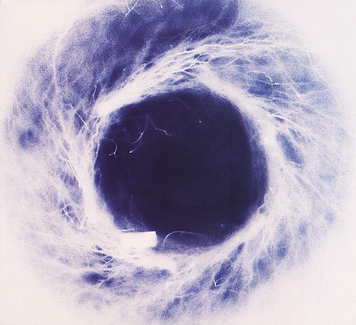 Yokokimthurston