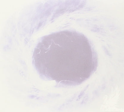Yokokimthurston