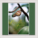 Profound Blessings & Gratitude