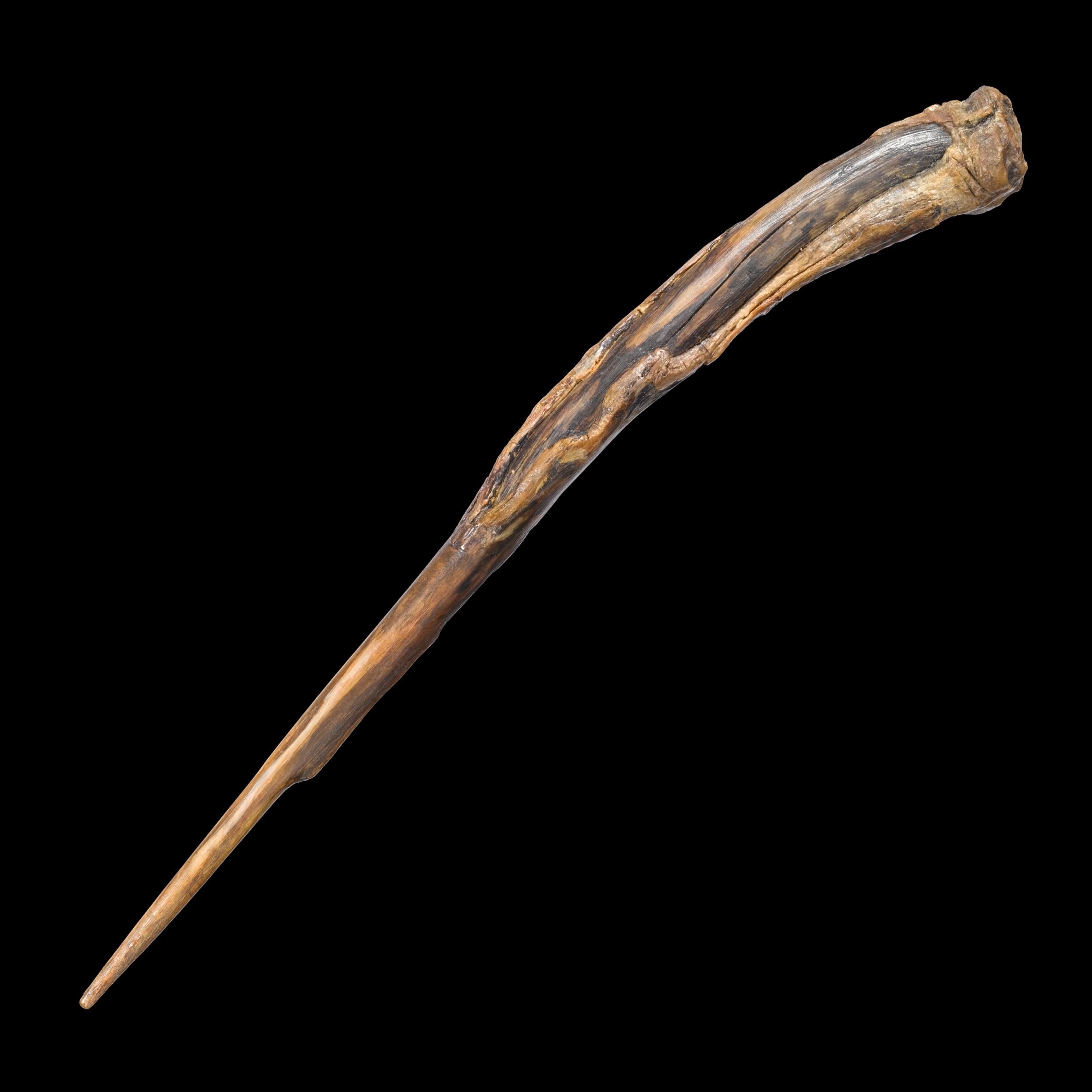 The Noble Collection - Harry Potter Snatcher Character Wand - 11in (29cm) Wizarding World Wand With Name Tag - Harry Potter Film Set Movie Props Wands