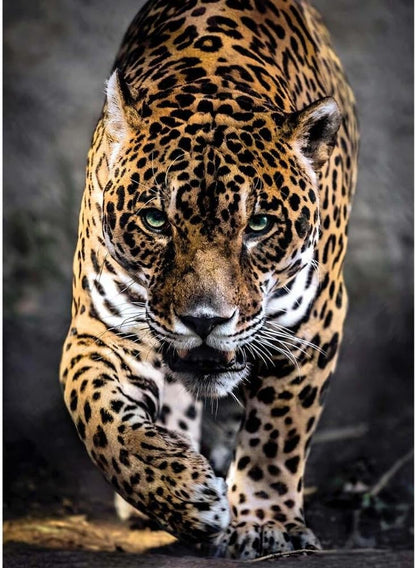 Clementoni - Puzzle 1000 piezas paisaje animales, Jaguar, Puzzle adulto (39326