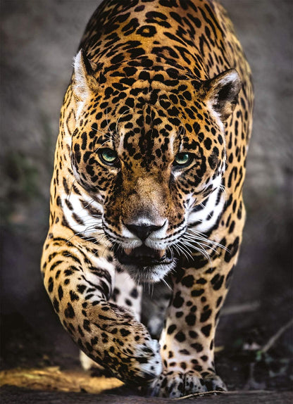 Clementoni - Puzzle 1000 piezas paisaje animales, Jaguar, Puzzle adulto (39326