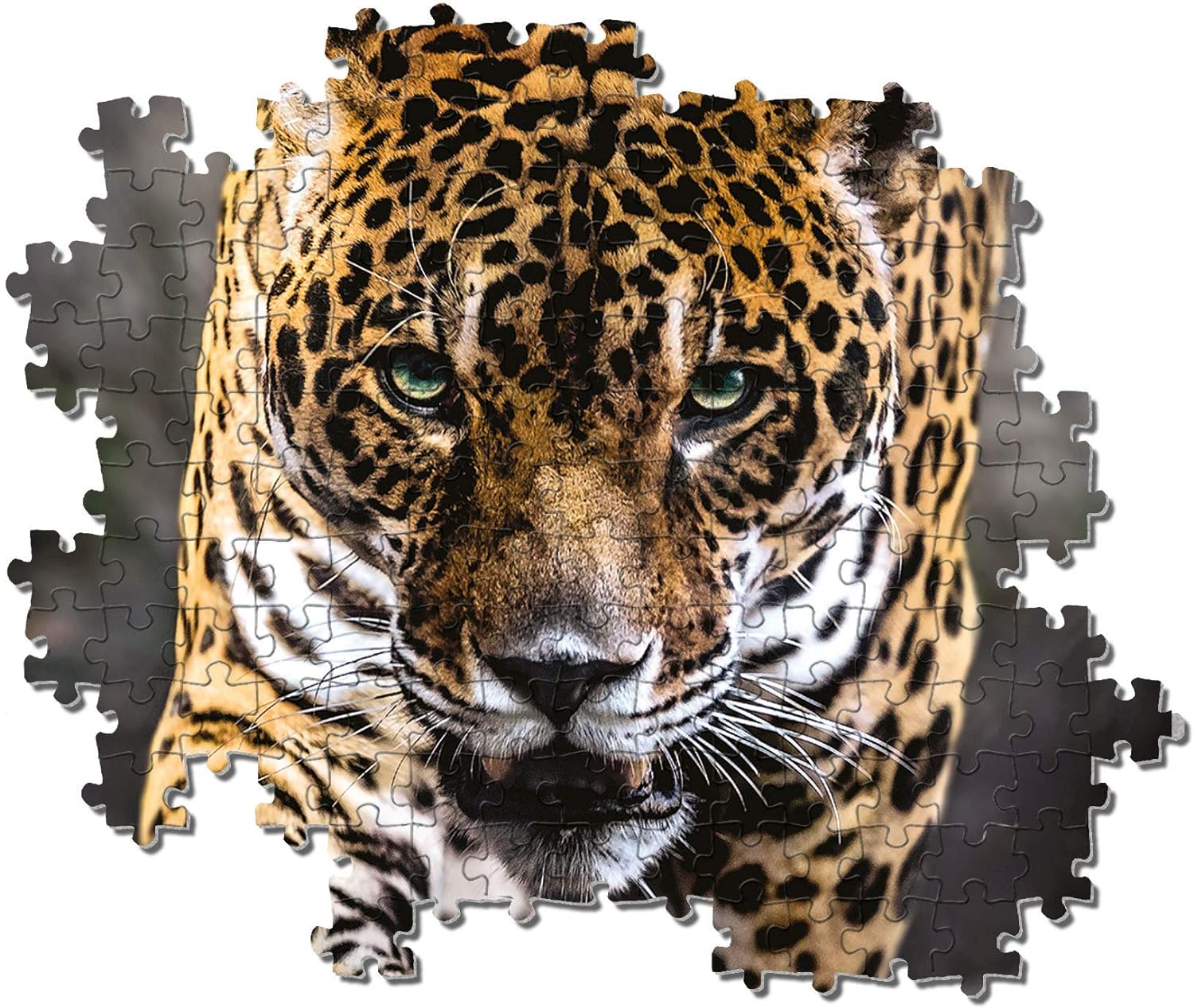 Clementoni - Puzzle 1000 piezas paisaje animales, Jaguar, Puzzle adulto (39326