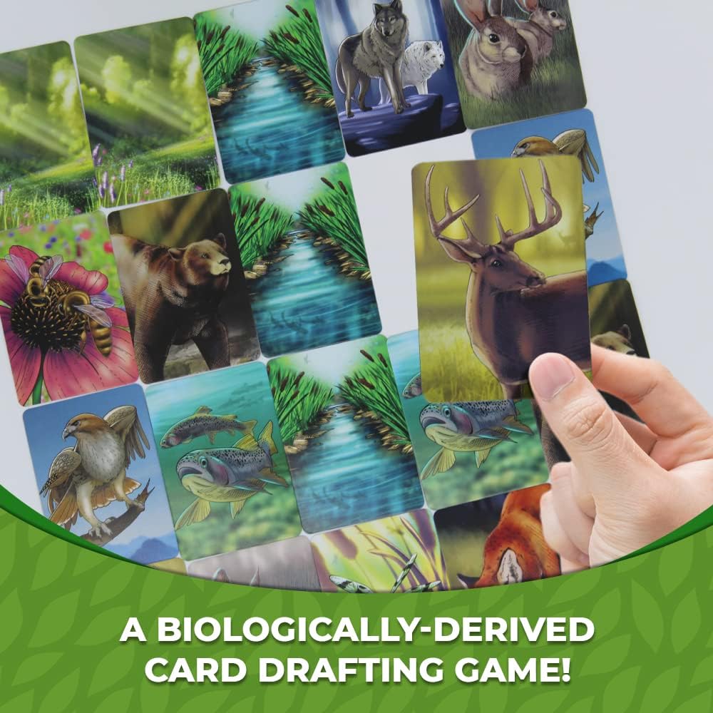 Genius Games - 74568 Ecosystem Ecology Board Game - Educational Wildlife Nature Biology Animal Food Chain Habitat - Stem - Science