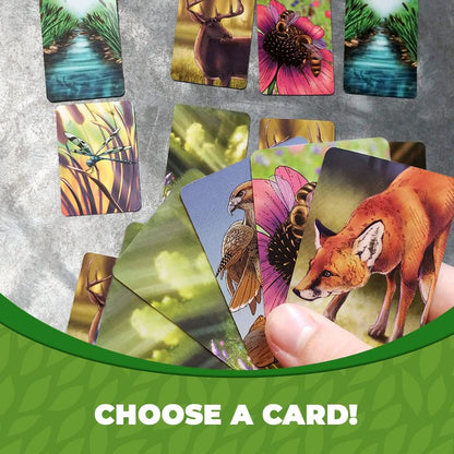 Genius Games - 74568 Ecosystem Ecology Board Game - Educational Wildlife Nature Biology Animal Food Chain Habitat - Stem - Science