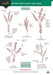 Guide to British bird tracks and signs