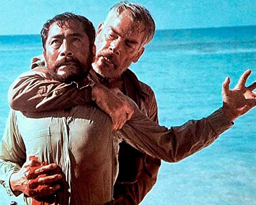 Die Hölle sind wir / Packendes Kriegsabenteuer mit Lee Marvin und Toshiro Mifune (Pidax Film-Klassiker