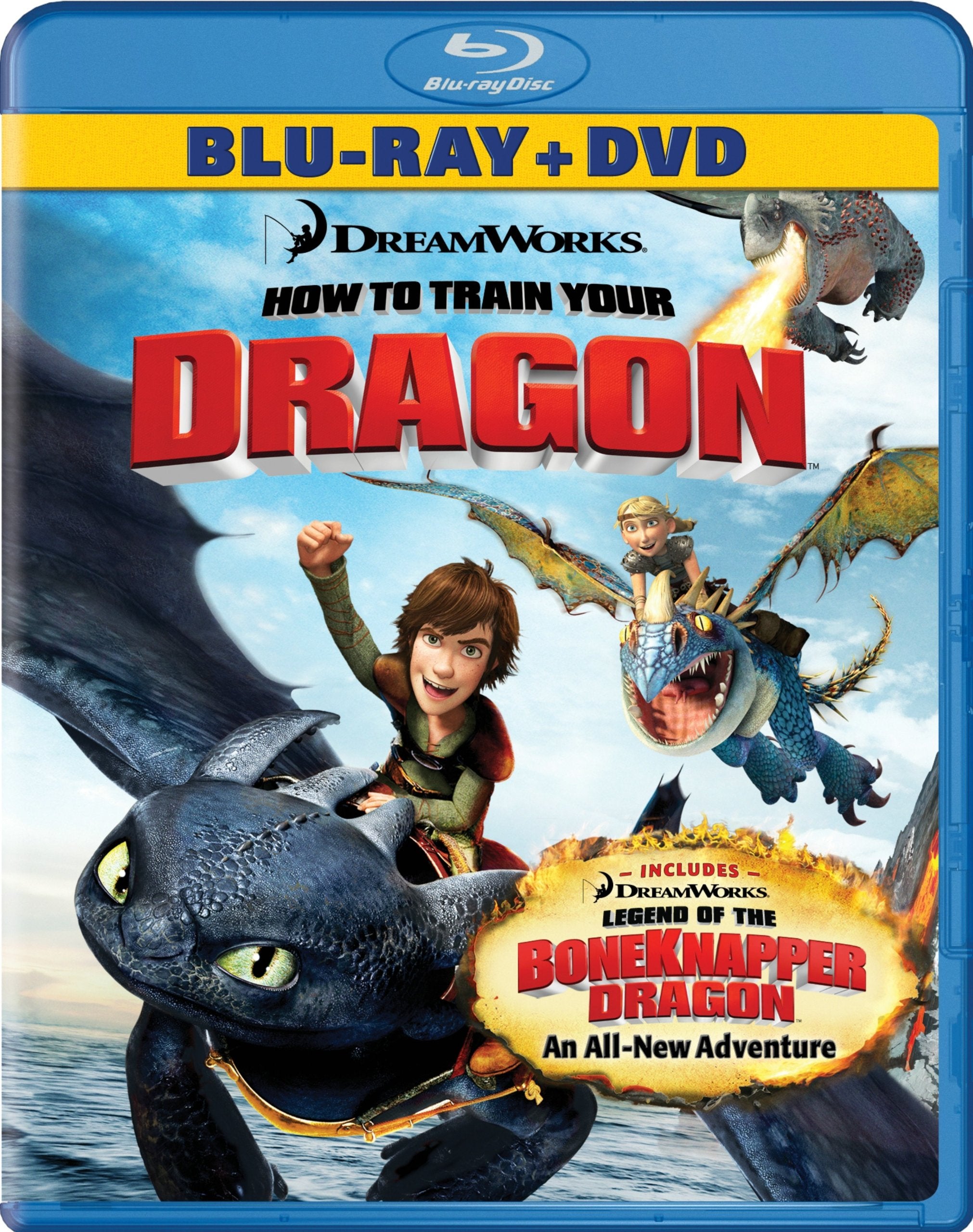 How to Train Your Dragon