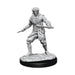 WizKids WZK73854 Pathfinder Deep Cuts Unpainted Miniatures: Wave 10: Male Elf Rogue Zubehör, Nicht bemalt, Small